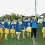 Krasov mednarodni turnir cicibanov in mlajših cicibanov