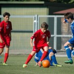 Mednarodni turnir začetnikov NK Kras