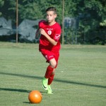 Mednarodni turnir začetnikov NK Kras