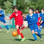 Mednarodni turnir začetnikov NK Kras