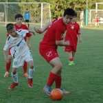 Mednarodni turnir začetnikov NK Kras