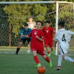 Mednarodni turnir začetnikov NK Kras