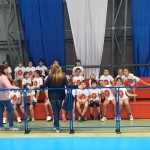 Volley Mania