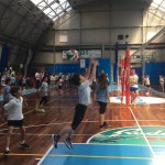 Volley Mania