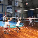 Volley Mania