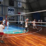 Volley Mania