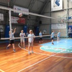 Volley Mania