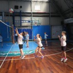 Volley Mania