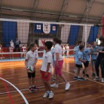 Volley Mania
