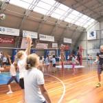 Volley Mania