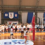 Volley Mania
