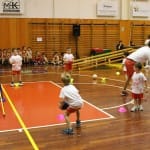 IMG_5445