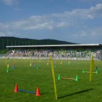 Športni dan večstopenjske šole v Gorici