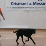 Poletni kamp AŠD Breg