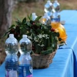 Športni park Pavel Sedmak, finale Jezikovnega poligona