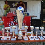 Medvaški turnir 5:5