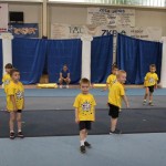 340-CheerdanceMilleniumZakljucnaPrireditev_jun2017