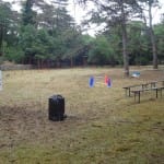 Športni park Pavel Sedmak, finale Jezikovnega poligona