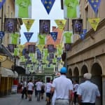41. srečanje mladih slovenskih športnikov iz obmejnih dežel