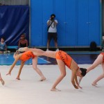 IMG_0459