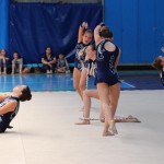 IMG_0509