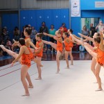 IMG_0535