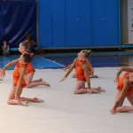 IMG_0537