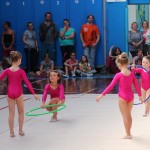 IMG_0545