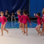 IMG_0558