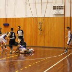 Adriatic League 2017