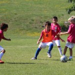 Sistiana/Sesljan poletni kamp