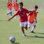 Sistiana/Sesljan poletni kamp