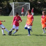 Sistiana/Sesljan poletni kamp