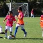 Sistiana/Sesljan poletni kamp