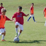 Sistiana/Sesljan poletni kamp