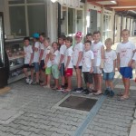 Poletni kamp - Zarja