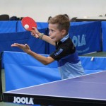 Mednarodni mladinski turnir - Pokal Kras