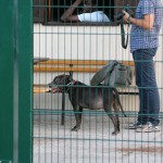 Primorje - predstavitev ekipe 2017/18