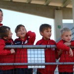 Poimenovanje nogometnega igrišča po Darku Škabarju