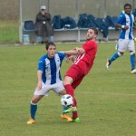 Edmondo Brian – Kras Repen