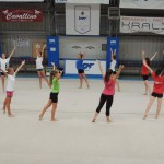 Priprave 2017/18; ŠZ Bor