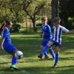 13. mladinski turnir za Trofejo KD Skala