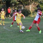 13. mladinski turnir za Trofejo KD Skala