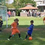 13. mladinski turnir za Trofejo KD Skala