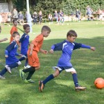 13. mladinski turnir za Trofejo KD Skala