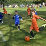 13. mladinski turnir za Trofejo KD Skala