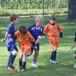 13. mladinski turnir za Trofejo KD Skala