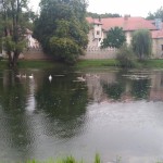 Priprave 2017/18; Zalet