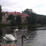 Priprave 2017/18; Zalet