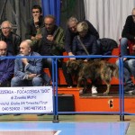 Bor Radenska - Don Bosco